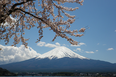 photo 1 of Fuji-Hakone-Izu National Park