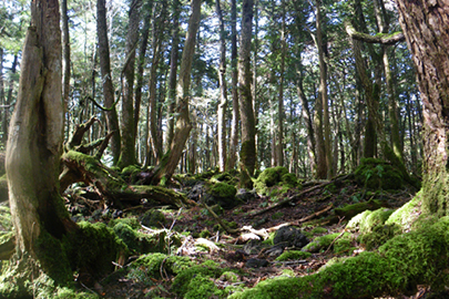 photo 2 of Fuji-Hakone-Izu National Park