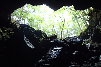 photo 3 of Fuji-Hakone-Izu National Park