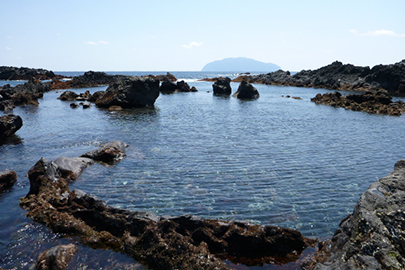 photo 7 of Fuji-Hakone-Izu National Park