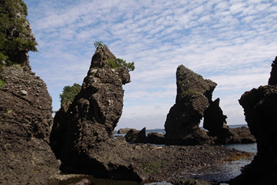 photo 8 of Fuji-Hakone-Izu National Park