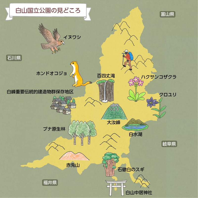 白山国立公園のみどころ