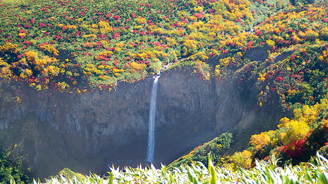 photo of Hyakuyojo-no-taki Falls