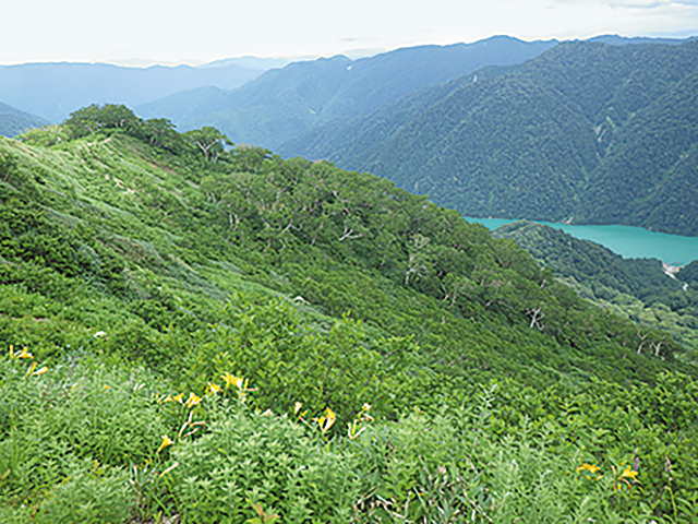 photo of Lake Hakusui 