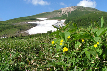 国立 公園 白山 【白山白川郷ホワイトロード】（白山スーパー林道）白山国立公園