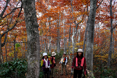 photo 7 of Hakusan National Park