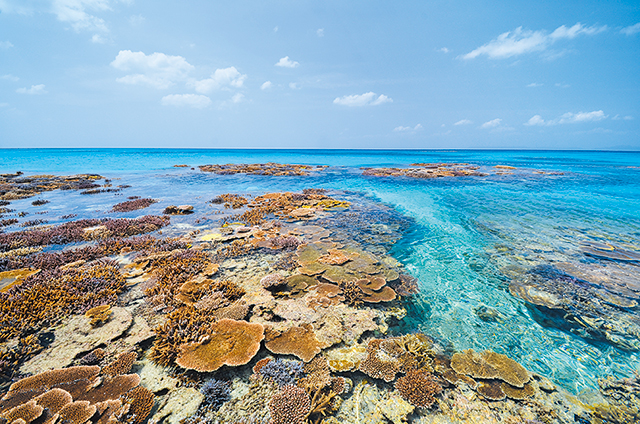 photo of Hateruma-jima Island