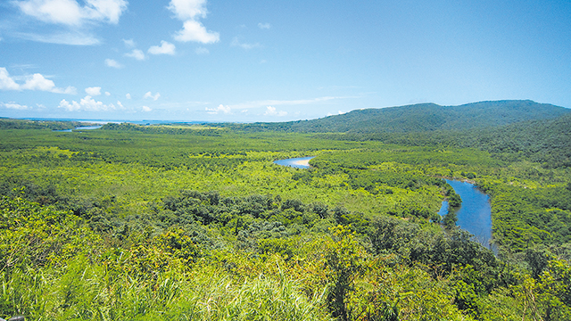 photo of Nakama River