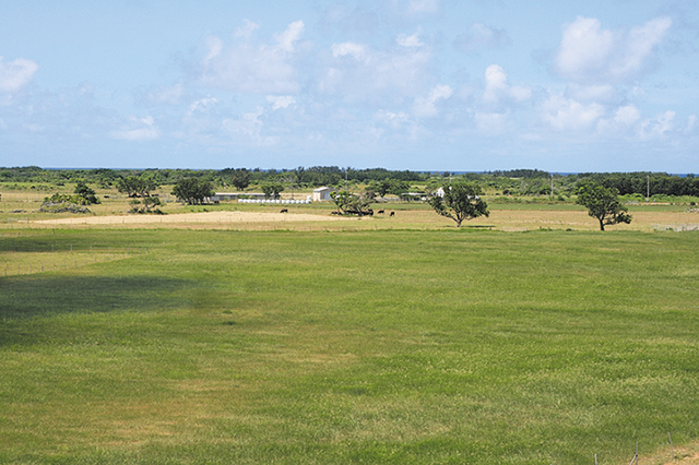 photo of Kuro-shima Island