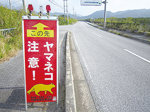 photo of Wildcat Warning Sign