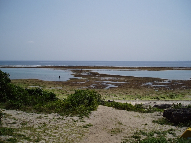 タイトル　黒島園地