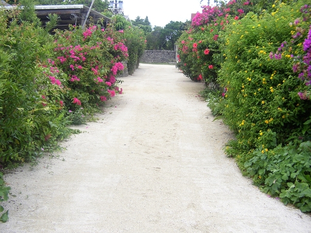 タイトル　竹富島町並み-1