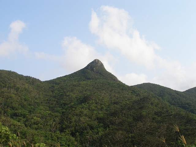 タイトル　野底岳