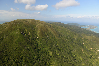 photo 6 of Iriomote-Ishigaki National Park