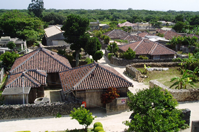 photo 7 of Iriomote-Ishigaki National Park