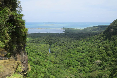 photo 9 of Iriomote-Ishigaki National Park