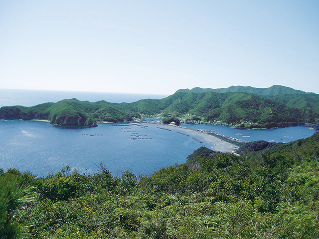 南海展望台の写真