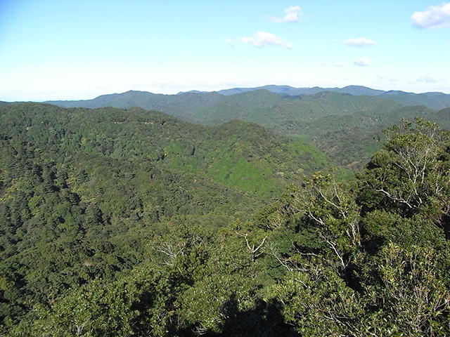 photo of Jingu-Kyuikirin Forest