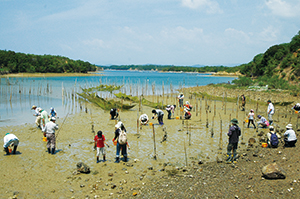 photo of Tidal Flat Restoration Efforts (Tidal Flat Observatory Meeting)