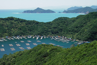 photo 7 of Ise-Shima National Park