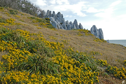 photo 9 of Ise-Shima National Park