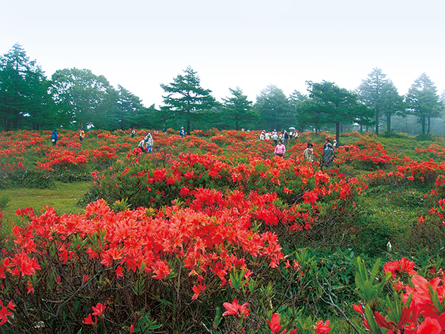 photo of Kazawa Onsen / Yunomaru Highland