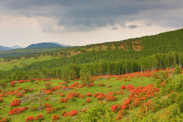 photo of Mt. Nekodake