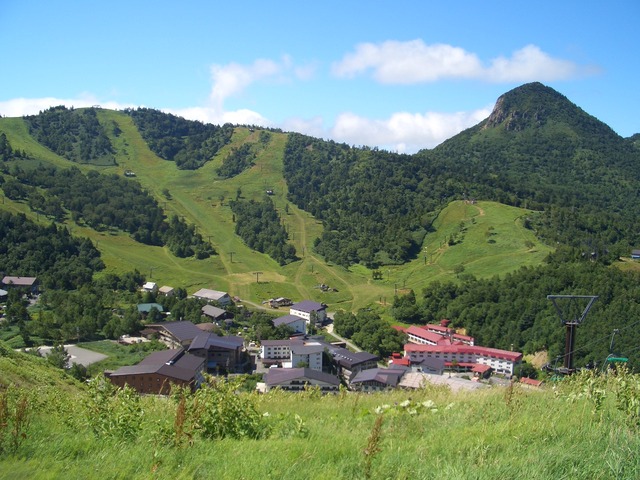 タイトル　夏のスキースロープ