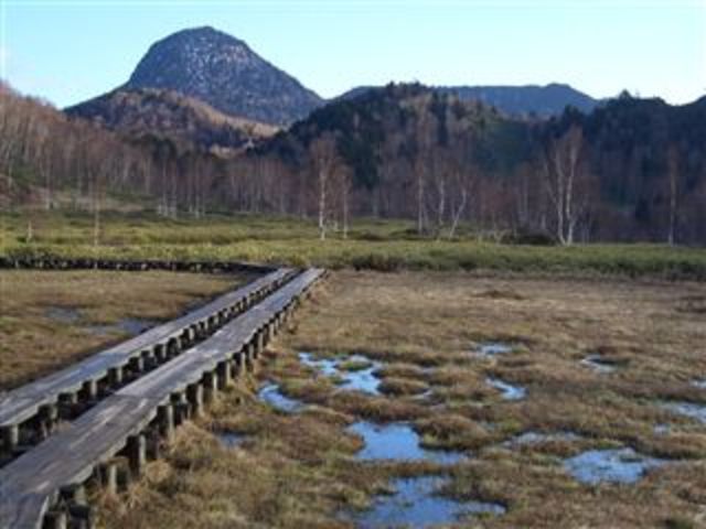 タイトル　田の原湿原