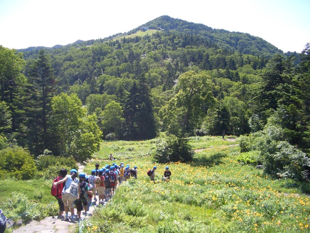 タイトル　東舘山植物園からの寺子屋峰