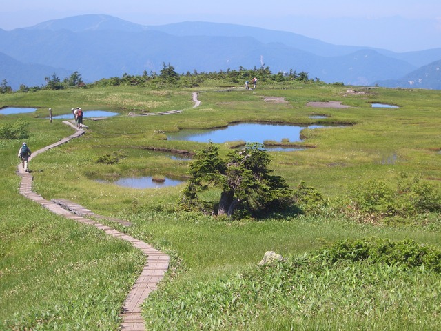 タイトル　苗場山 山頂一帯に点在する地塘