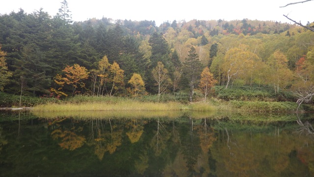 タイトル　逆さ紅葉を写す牛池