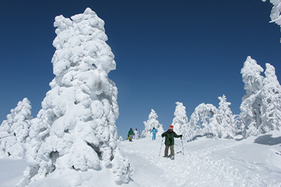 photo 4 of Joshin’etsukogen National Park