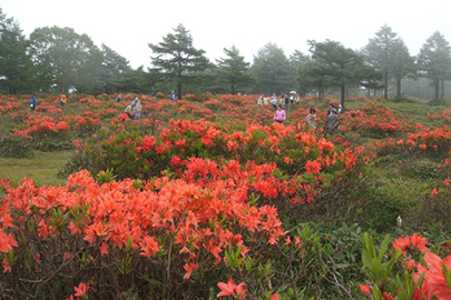 photo 5 of Joshin’etsukogen National Park