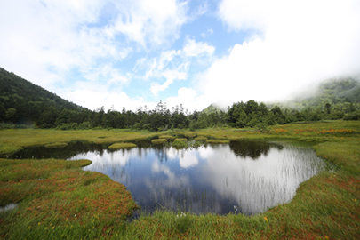 photo 6 of Joshin’etsukogen National Park