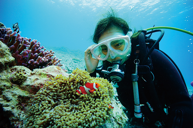 photo of Diving / Snorkeling