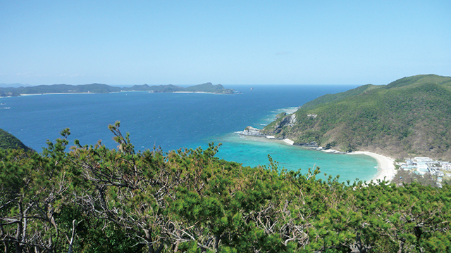 照山園地展望台の写真