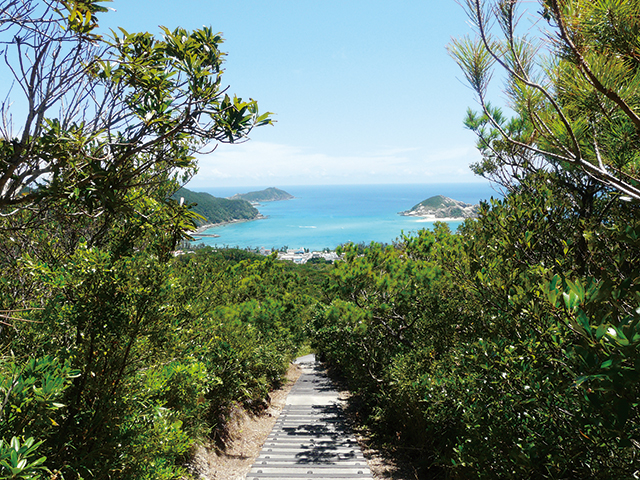 photo of Teruyama Garden Trail