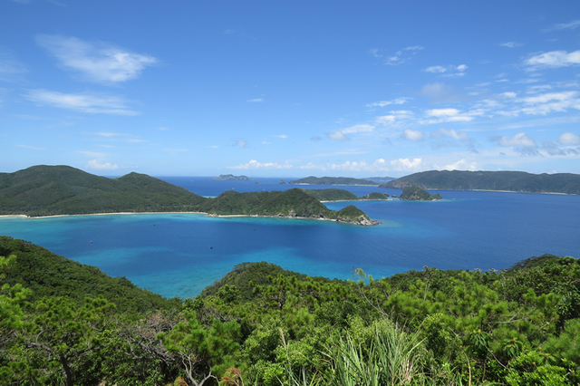 タイトル　高月山展望台