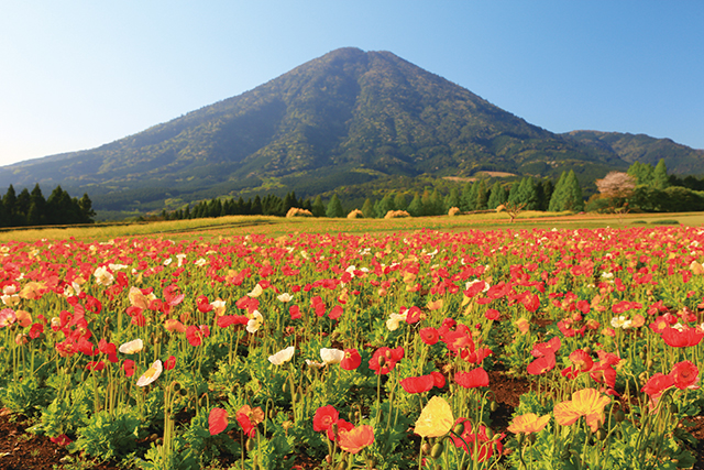 photo of Mt. Hinamori