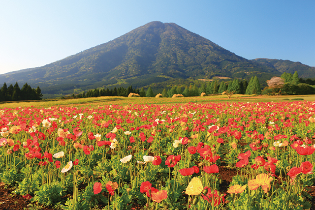 夷守岳の写真