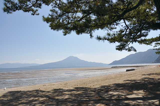 重富海岸の写真