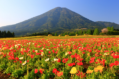 photo 1 of Kirishima-Kinkowan National Park