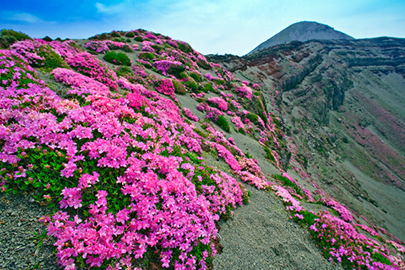 photo 4 of Kirishima-Kinkowan National Park