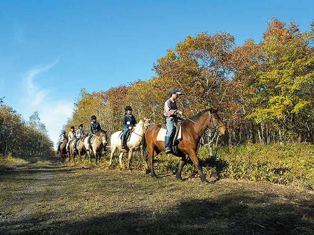 photo of Horse Trekking