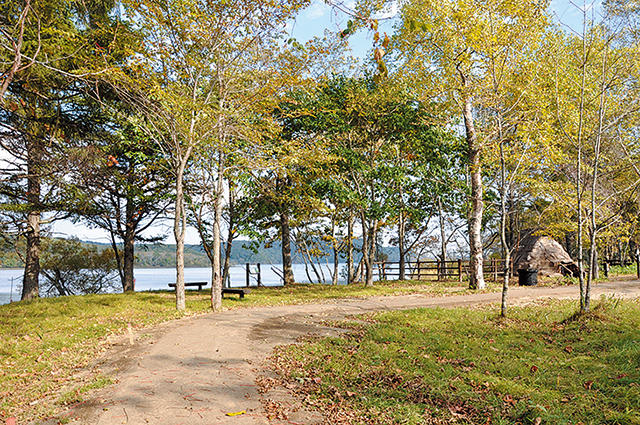 photo of Toro Lakeside Trail