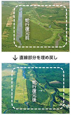 釧路川芽沼地区での旧川復元事業の写真