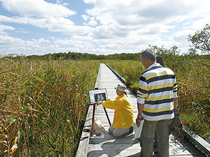 photo of Park Volunteer Activities