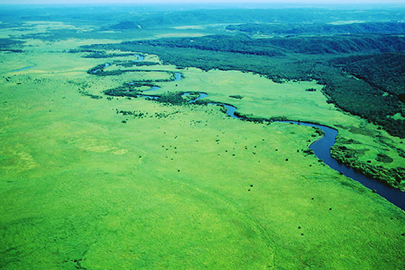 photo 1 of Kushiroshitsugen National Park