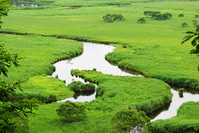 photo 4 of Kushiroshitsugen National Park